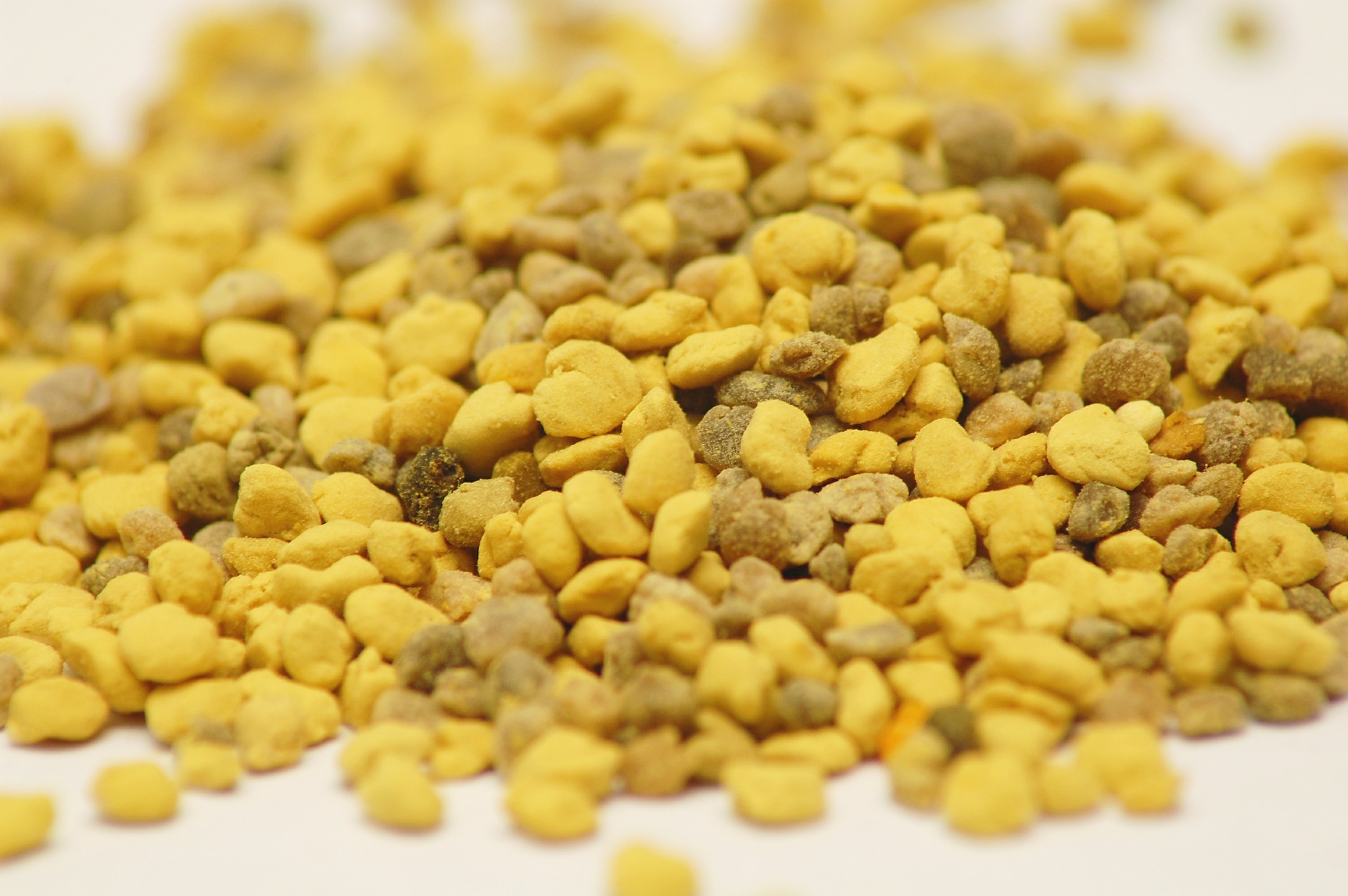 Bee Pollen