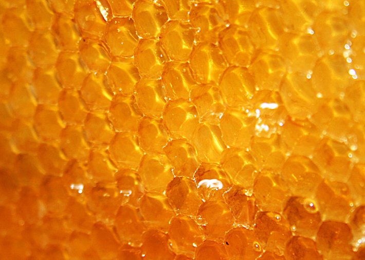 bioactive Honey in comb