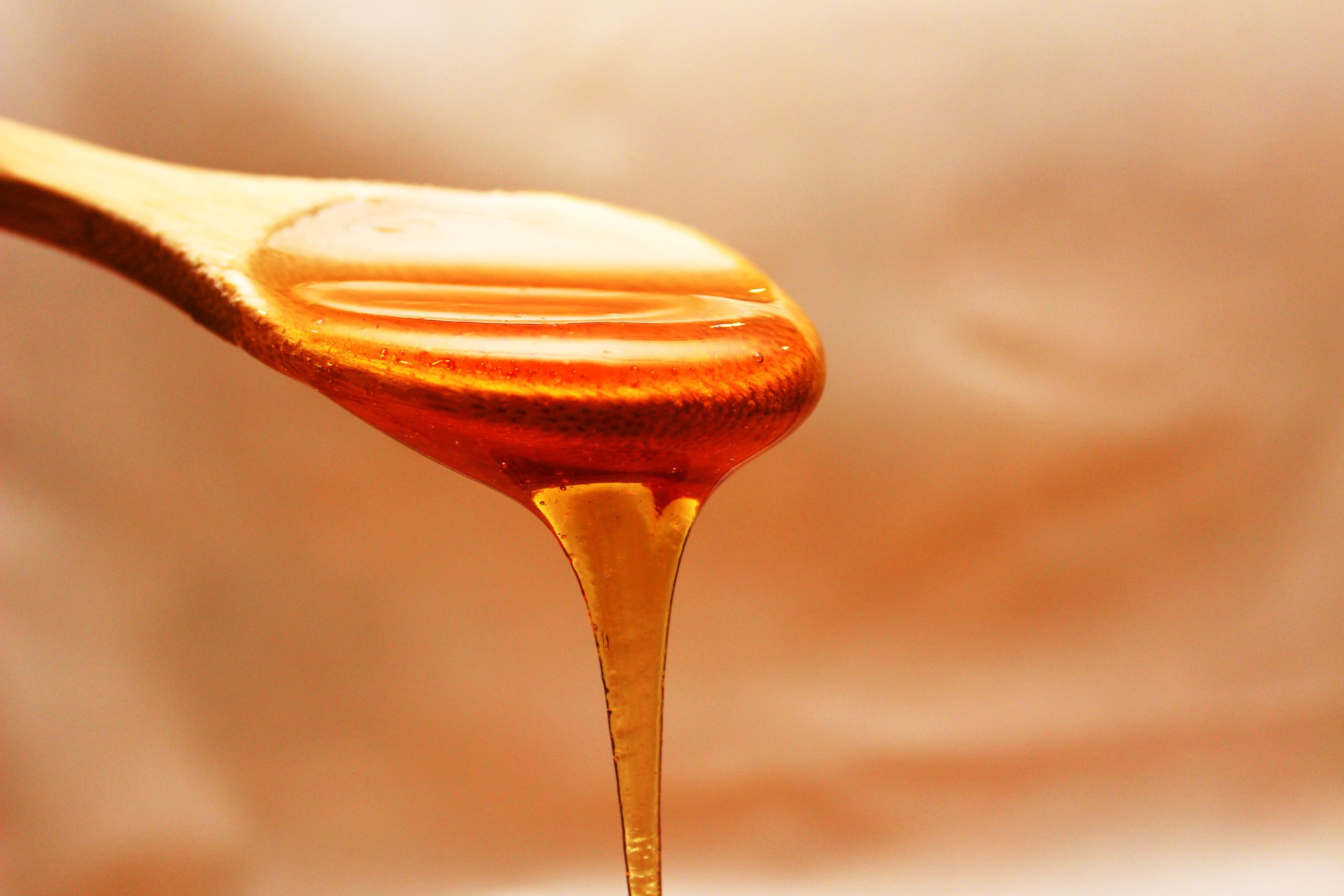 Antibacterial honey