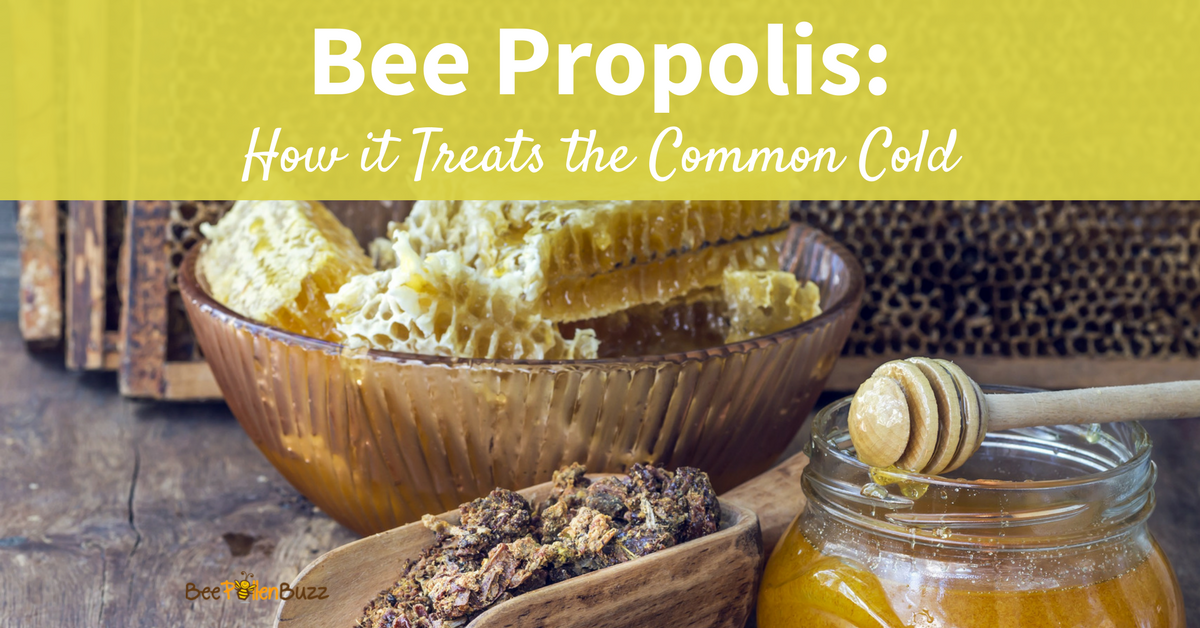 Propolis and Common Cold