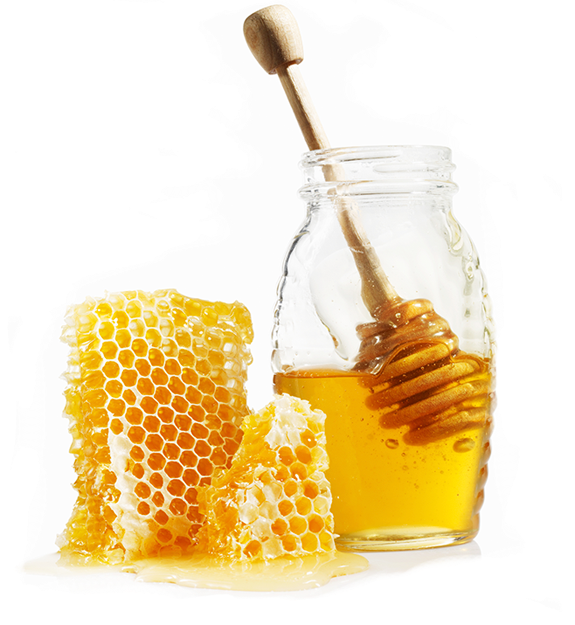 honey recipes
