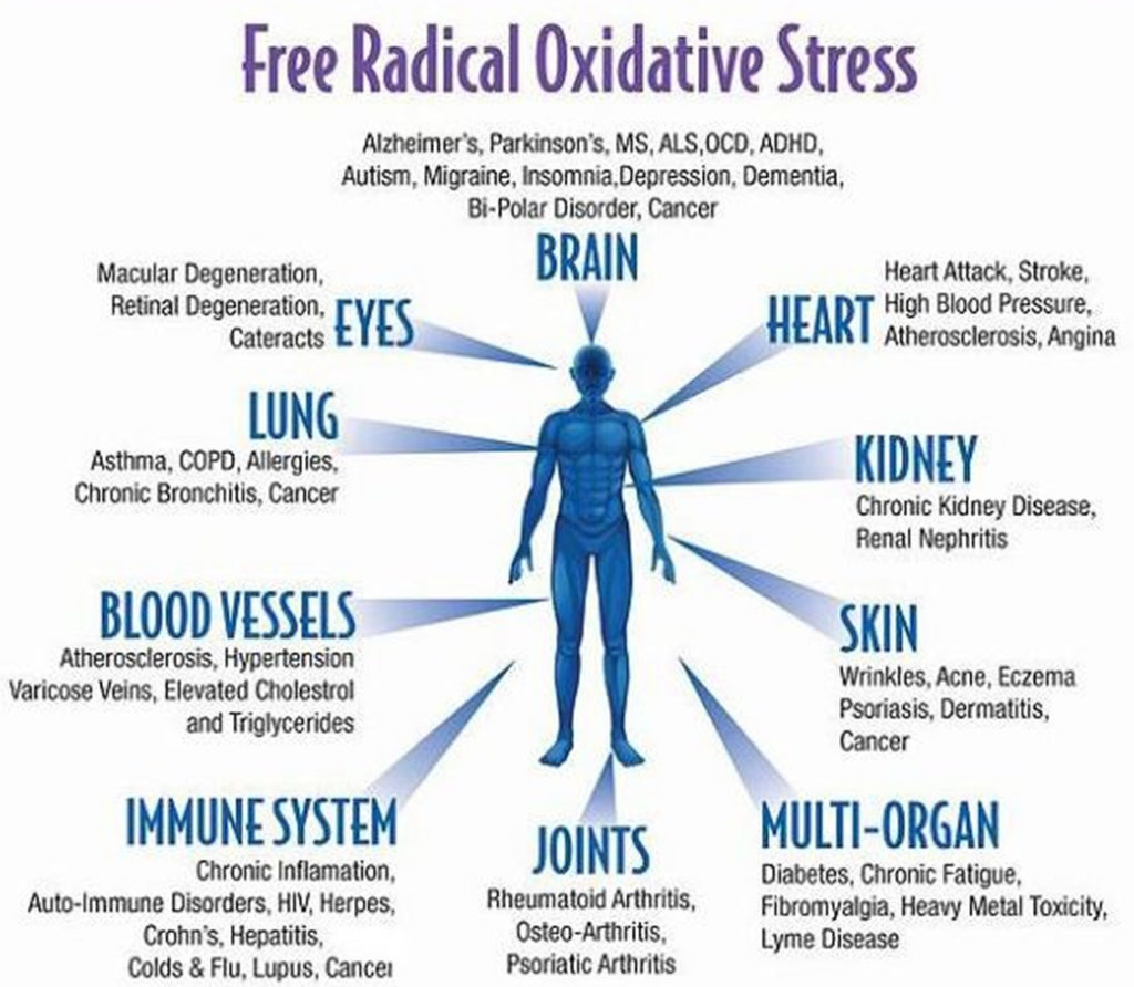 oxidative-stress